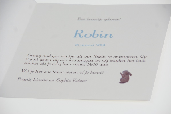 geboortekaartje robin lichtblauw